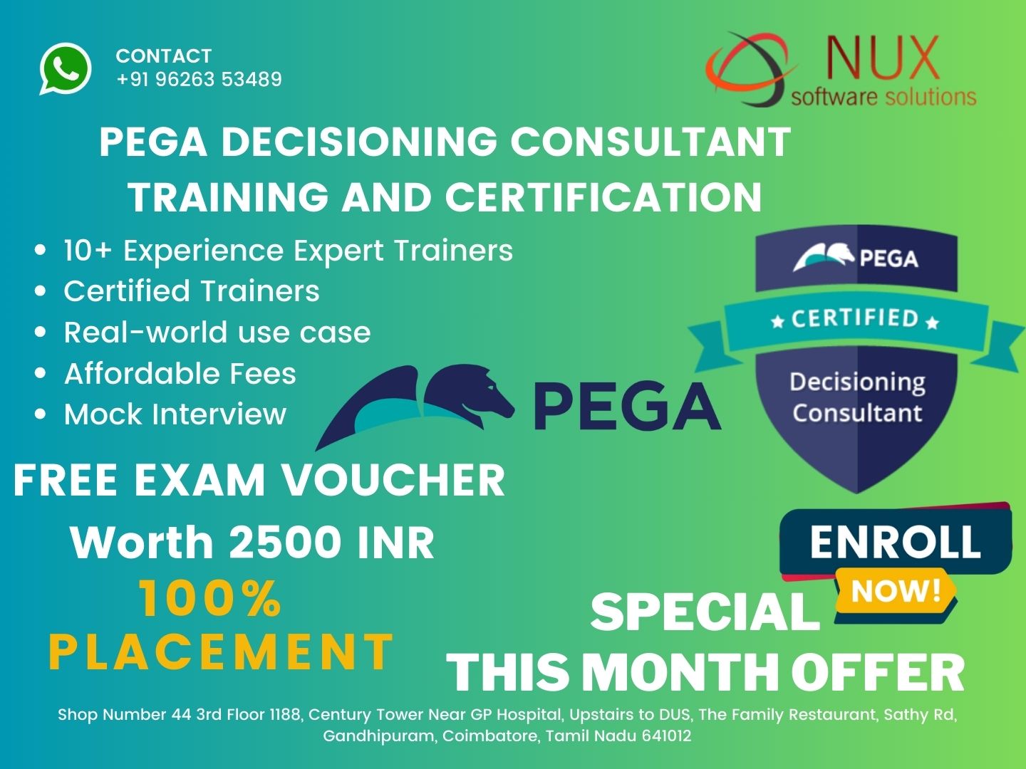 Pega Decisioning Consultant